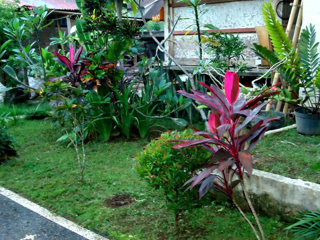 Dewa Put Guest House Ubud Extérieur photo