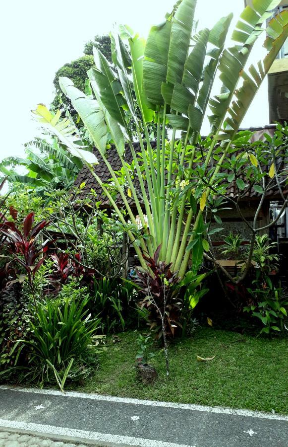 Dewa Put Guest House Ubud Extérieur photo